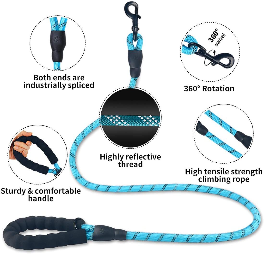 Luminous Dog Leash for Small & Medium Pets