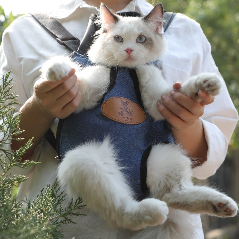 Spring Outing Cat Backpack
