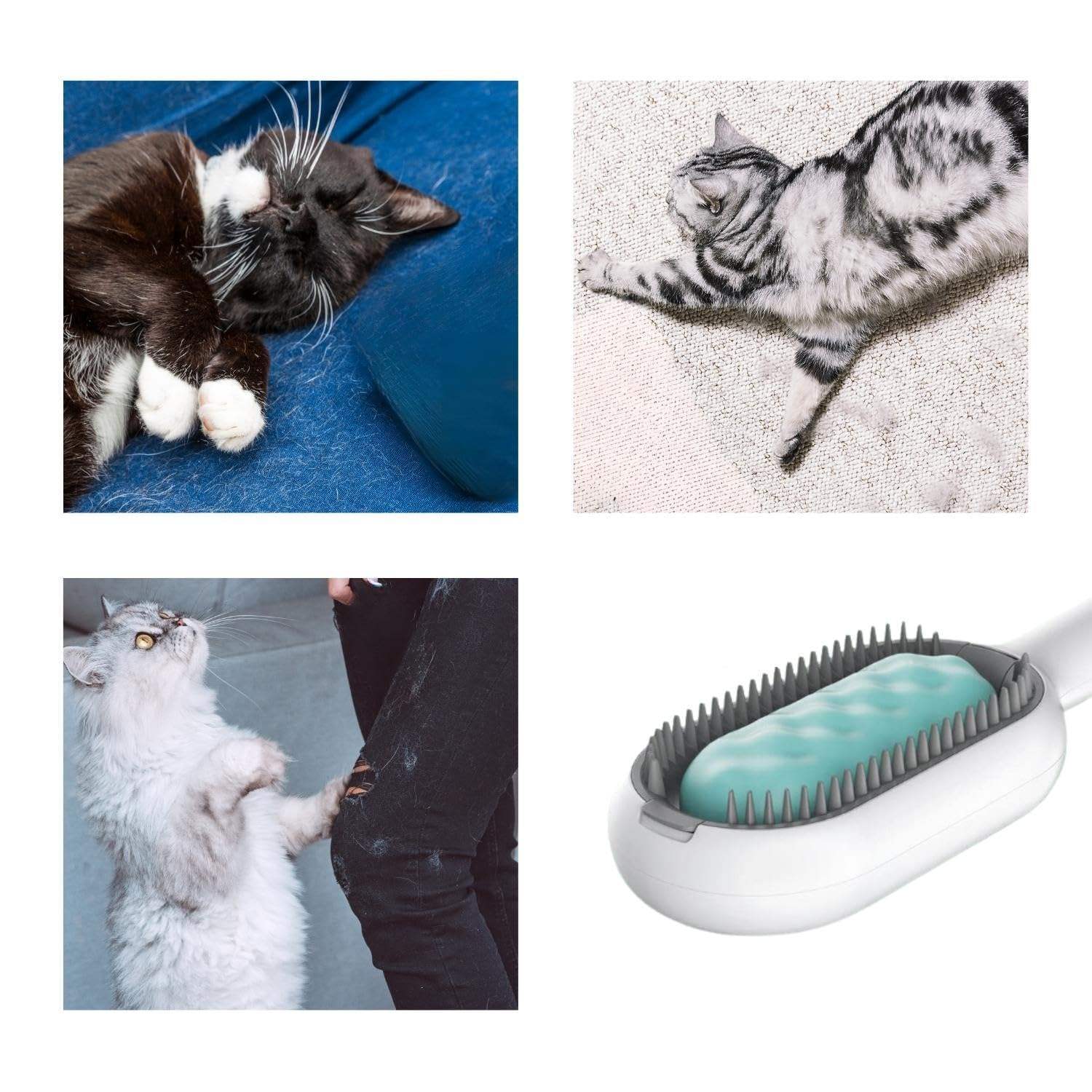 4-in-1 Cat Grooming Brush with Water Tank