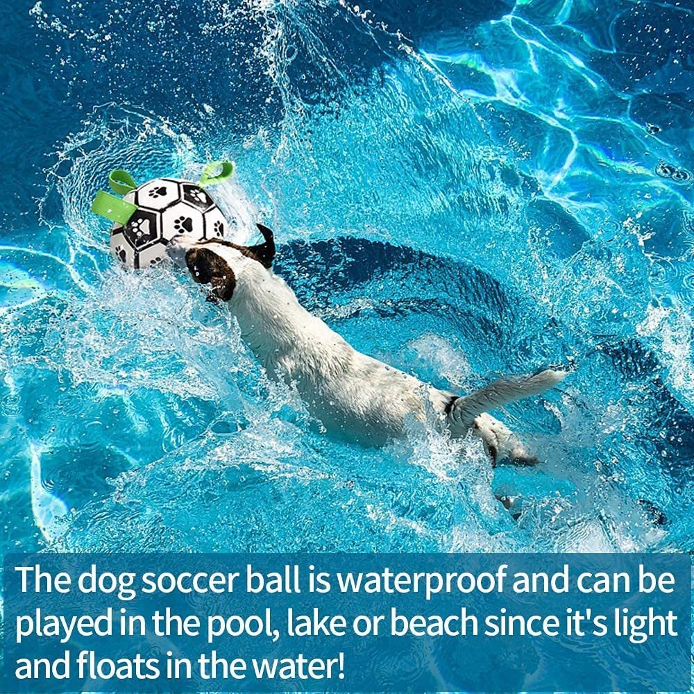 Interactive Dog Soccer Ball Toy