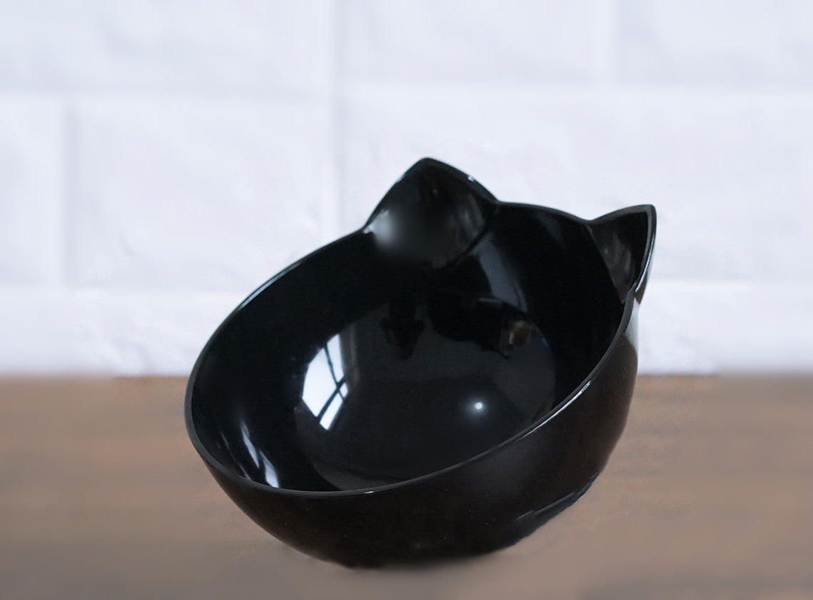Inclined Transparent Pet Feeding Bowl