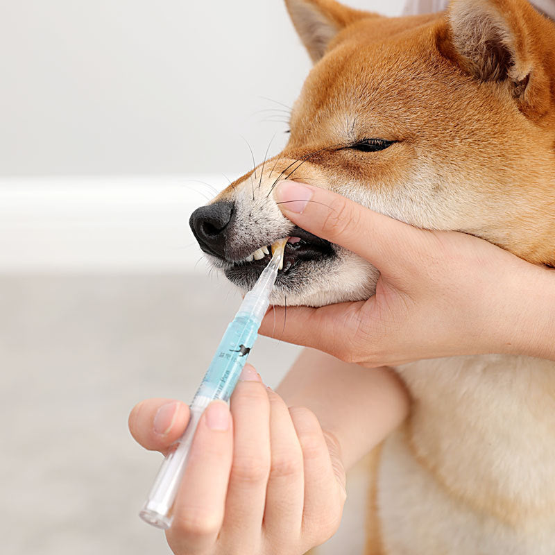 Pet Dental Care Kit - Dog Cat Teeth Cleaning