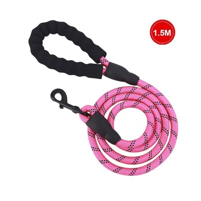 Luminous Dog Leash for Small & Medium Pets