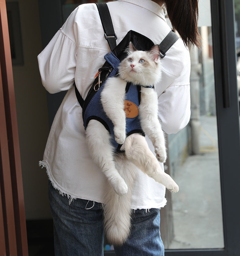 Spring Outing Cat Backpack