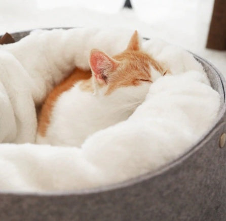 Cozy Plush Pet Bed
