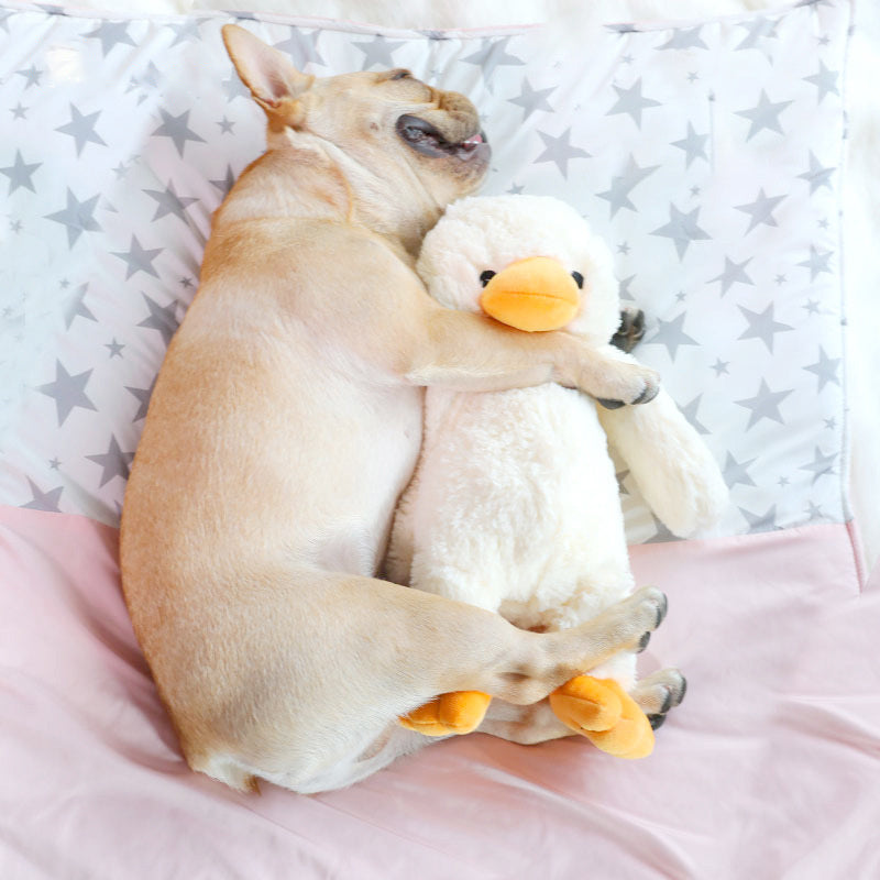 Plush Chew & Cuddle Dog Toy