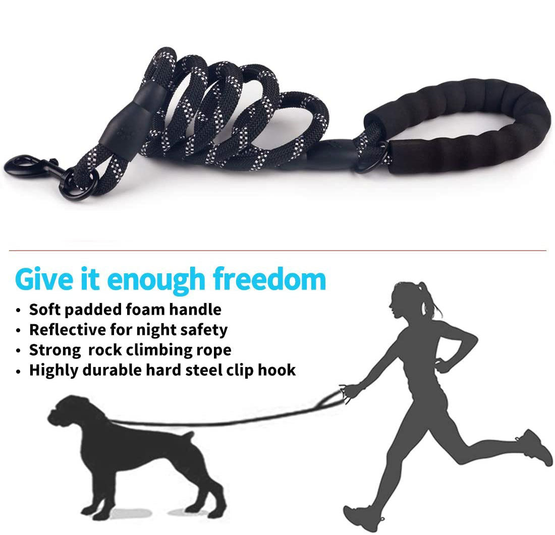 Luminous Dog Leash for Small & Medium Pets