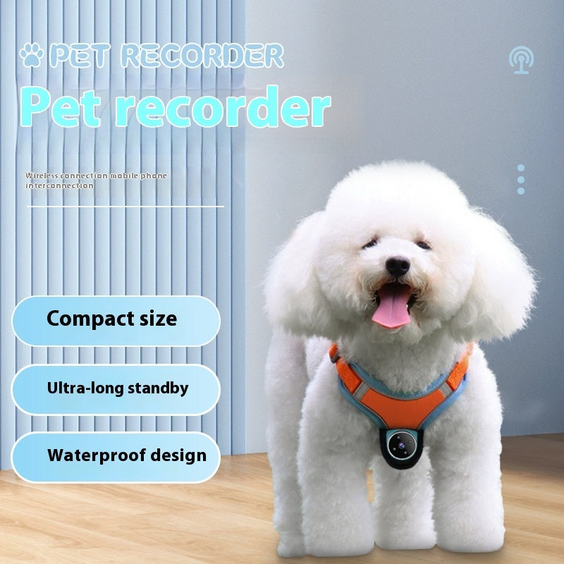 Pet Tracker & Video Camera Collar