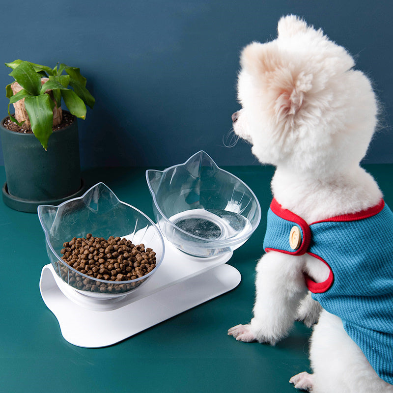 Inclined Transparent Pet Feeding Bowl