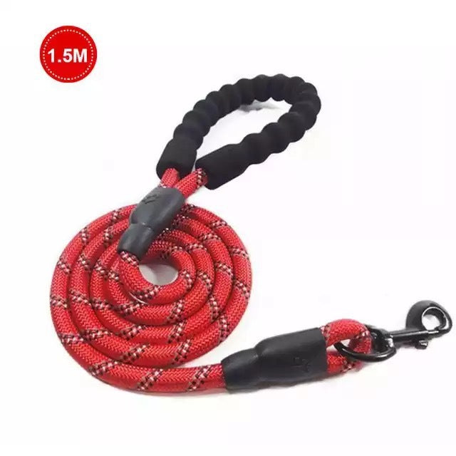 Luminous Dog Leash for Small & Medium Pets