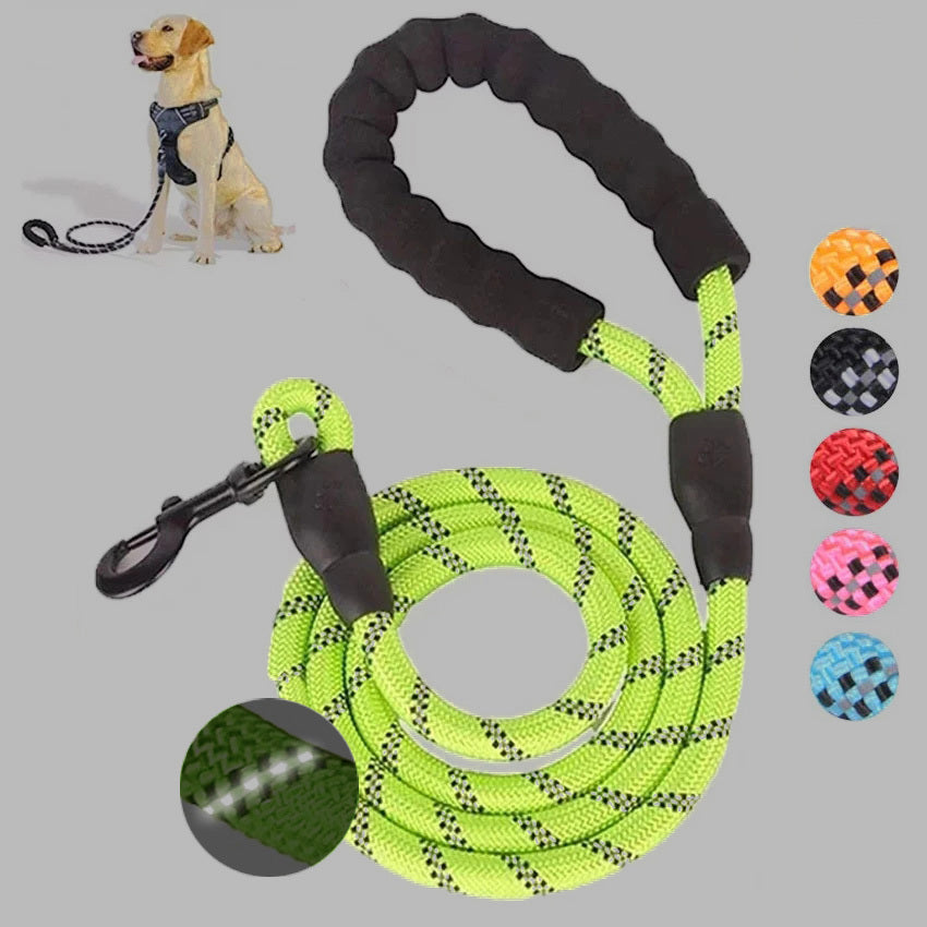Luminous Dog Leash for Small & Medium Pets