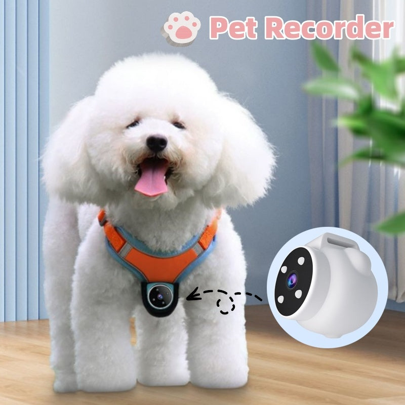 Pet Tracker & Video Camera Collar