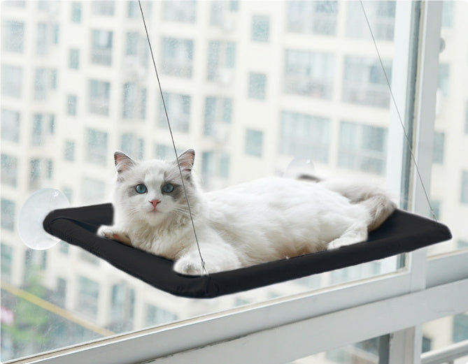 Cat Window Hammock Bed