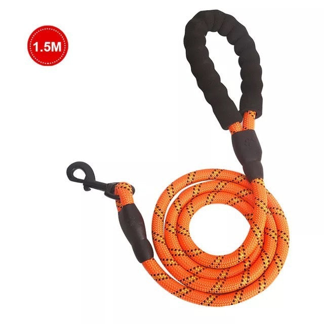 Luminous Dog Leash for Small & Medium Pets