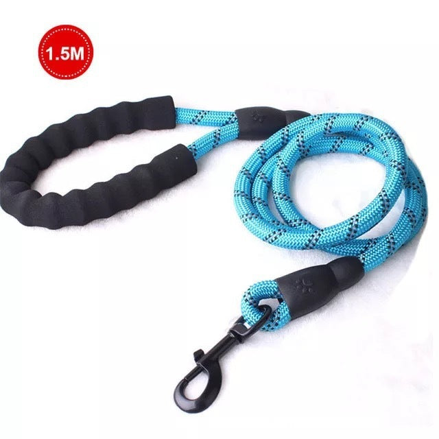 Luminous Dog Leash for Small & Medium Pets